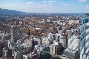 Fototapeta na wymiar 札幌の都心部を見下ろす