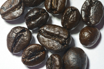 Coffee seed with white paper background