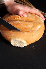 Baker cutting fresh white flour bread. Kitchen or bakery poster design