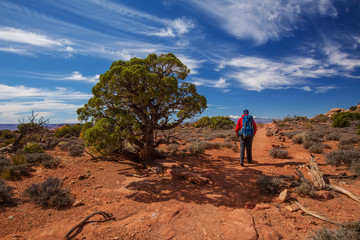 Hiker in Canyonlands National park in Utah, USA