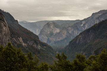 A father with baby son visit Yosemite National Park in Californai, USA