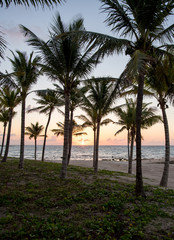 Obraz na płótnie Canvas Sunrise on beach in Cancun