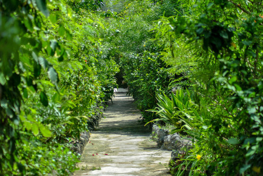 Tropical bungalow sidewalk