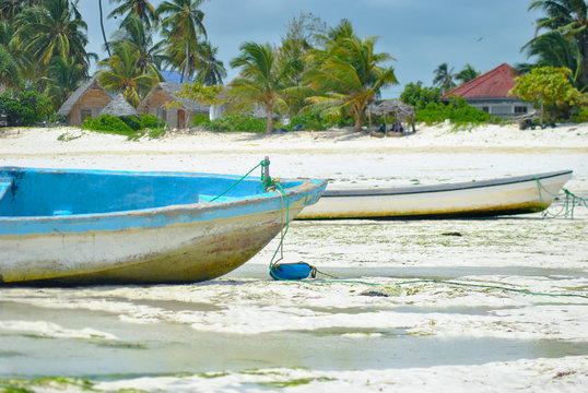 Tropcial coast with boat