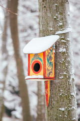 colorful house for birds is hanging on a tree in the park