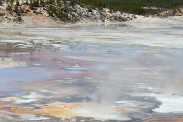 Norris geyser basin