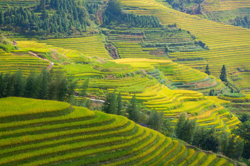 Longji Rice Terraces