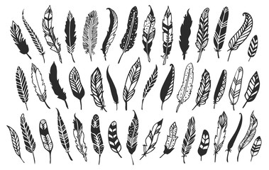 Rustic decorative feathers. Hand drawn vintage vector design set