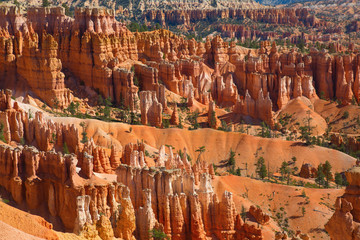 Bryce canyon