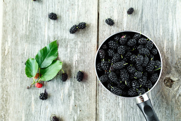 berries black mulberry
