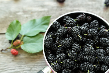 berries black mulberry