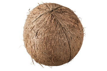 whole coconut isolated