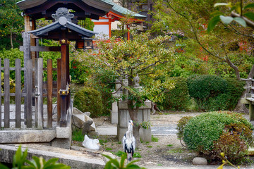 Shinsen-en Buddhist Garden, Kyoto, Japan