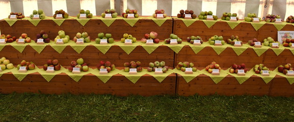 Messe der Apfelsorten in Döllingen