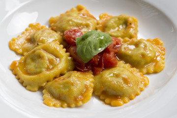 frontal filled pasta