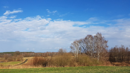 Wetlands at Tegeler Fliess stream in Berlin in winter