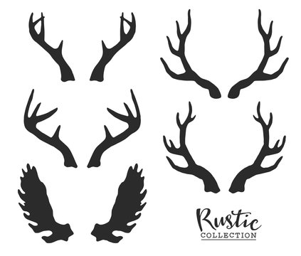 Hand drawn vintage antlers. Rustic decorative vector design elements.