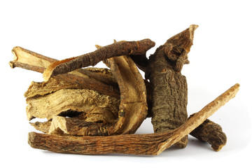 Dry root of yellow gentian (Gentiana lutea L.) isolated on white.