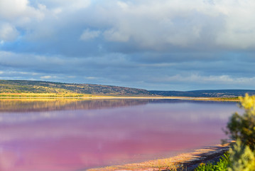 Salzsee in leuchtendem pink, Pink Lake, Gregory, Westaustralien, Australien 