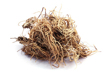 Dried root of common cowslip (Primula veris) isolated on white.