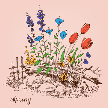 Garden spring flowers. Seasonal floral arrangement or flower bed