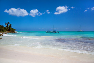 Fototapeta na wymiar Coconut Palm trees on white sandy beach in Caribbean sea, Saona island. Dominican Republic