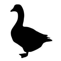 black silhouette goose vector 
