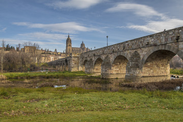 Fototapeta premium monuments in the city of Salamanca