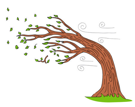 Tree Wind Cartoon