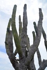 Beautiful landscape in beautiful Mexico. Travels. Recreation