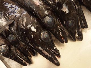 Madeira, Portugalia - Espada czyli pałasz czarny w Mercado dos Lavradores czyli na Rynku Rolników w Funchal © Iwona