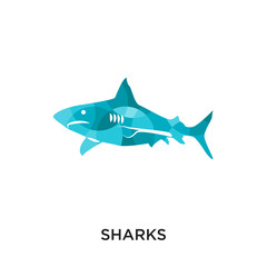 sharks logo isolated on white background for your web, mobile and app design