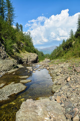 Fototapeta na wymiar Mountain stream on the Putorana plateau.