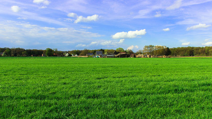countryside, green field, blue sky. Clouds.