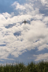 Anflug über Feld