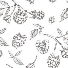 Hand drawn raspberry. Retro sketch style vector illustration. Perfect for invitation, wedding or greeting cards. Seamless pattern.