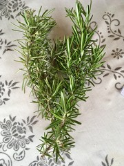 Rosmarinzweige auf Tischdecke