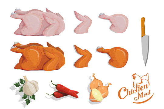 Set of different chicken meat elements with spices. Chicken meat logo. Meat food.Chicken farming products. Fresh roast chicken.