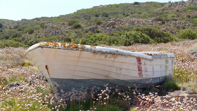 Boot an Land