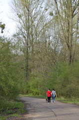 misteln im oppenheimer w&auml;ldchen