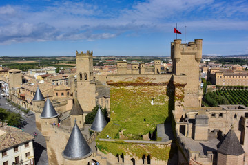 Castillo de Olite