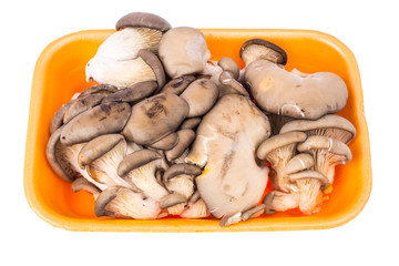 Fresh mushrooms oyster mushrooms in plastic container