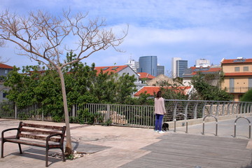 Mały park z młodym dzrewkiem i krzewami, ławką, na wybetonowanym skwrze, w tle domy jednorodzinne i wysokie nowoczesne drapacze chmur, tyłem stoi dziewczyna z czarnym niedużym psem, lekki zachmurzene  © Wioletta