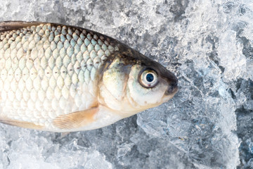 Raw fish after fishing on crash ice. Winter fishing. Just trapped fish lies on ice. Russia.