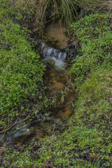 Small spring creek near Teplicka village