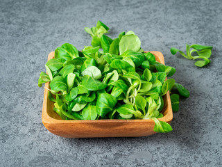 Wooden bowl with corn salad leaves, lamb's lettuce on gray stone background, side view