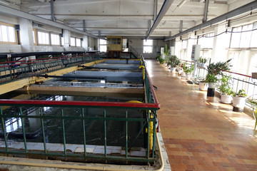 Water treatment facility with large swimming pools with water.