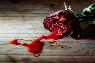 Dying Rose bleeding on a wooden background