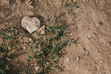 stone in the sight of the heart