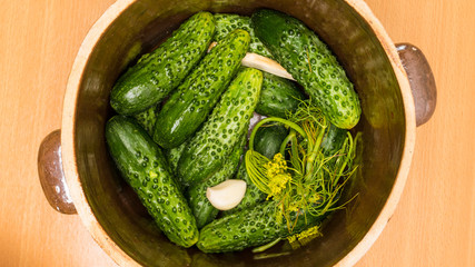 Making pickled cucumbers in clay jar